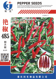 科光種苗“艷椒485”辣椒、“秋實(shí)1號(hào)”甘藍(lán)分別入選2025年農(nóng)業(yè)主導(dǎo)品種、農(nóng)作物優(yōu)良品種推廣目錄